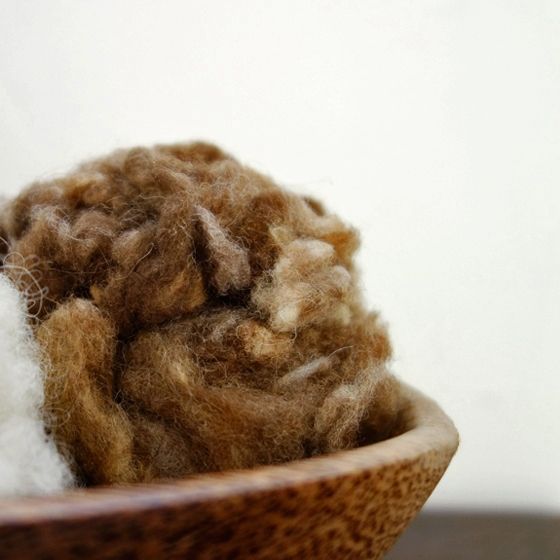 駝棕色．英國—昔德蘭捲捲毛｜羊毛氈材料