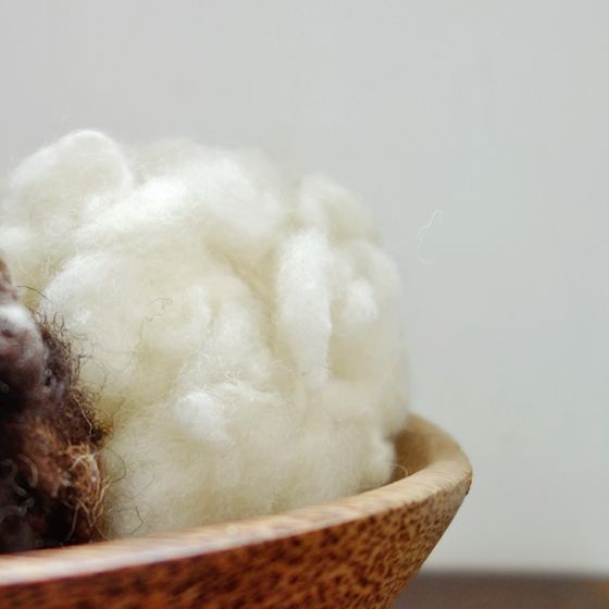 白色．英國—昔德蘭捲捲毛｜羊毛氈材料