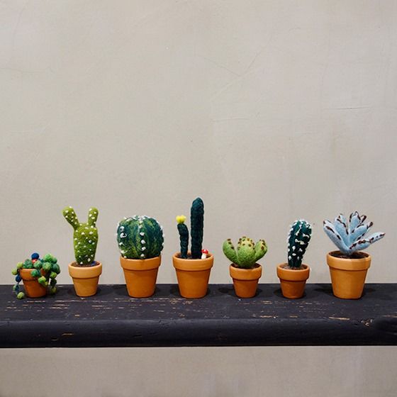 推薦！【雕塑課】針氈—多肉植物小宇宙