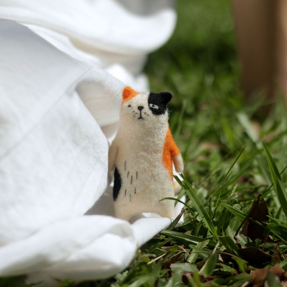 1．28【針氈】森林寓言—貓．之一