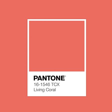 色彩報告 ❘ Pantone 2019 珊瑚色