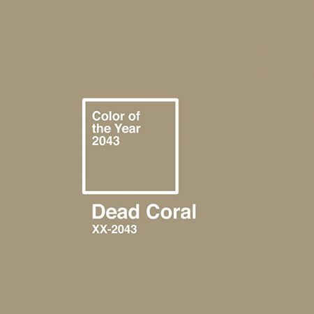 色彩報告 ❘ Color of the Year 2043